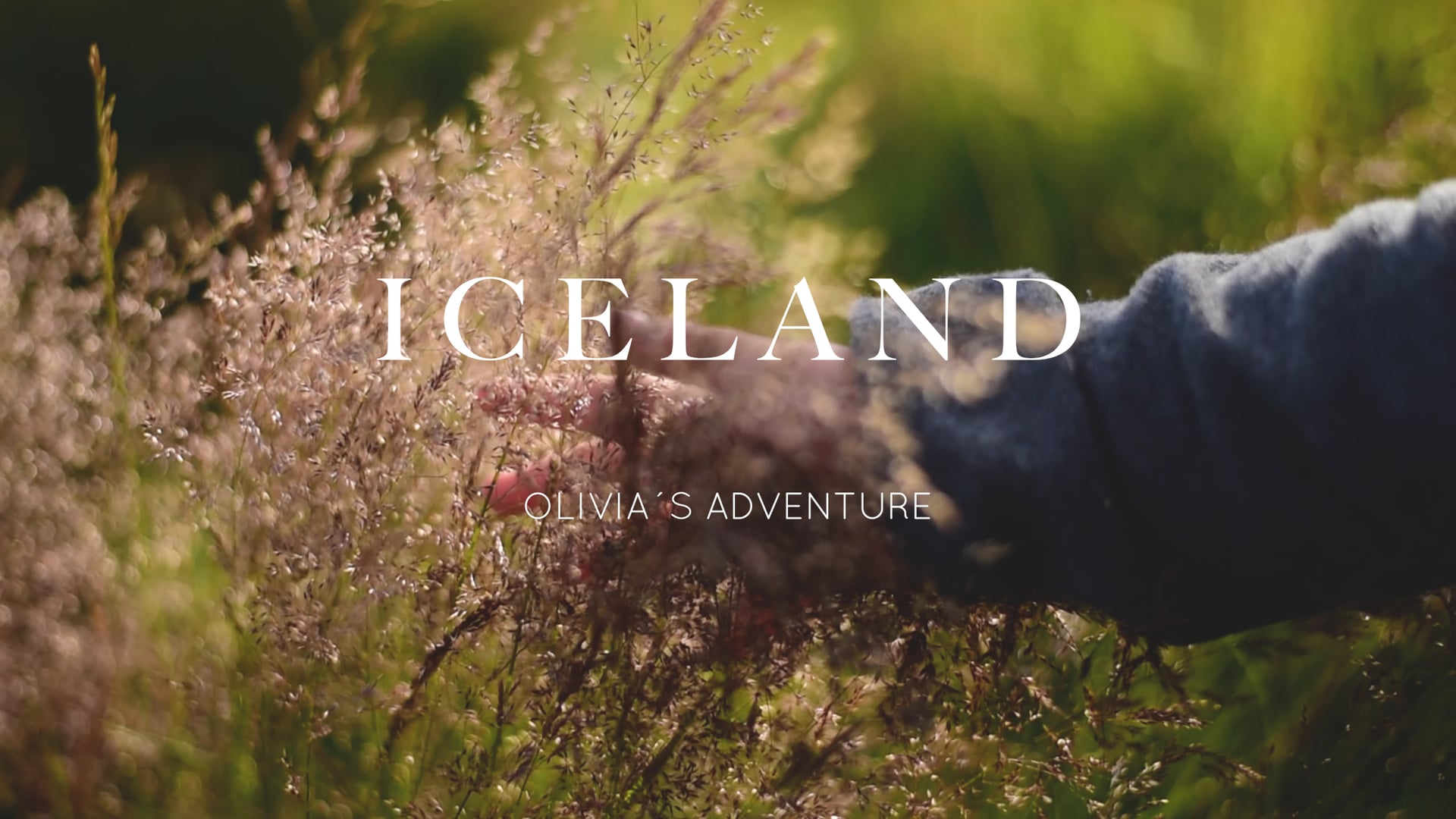 I C E L A N D • A family road trip