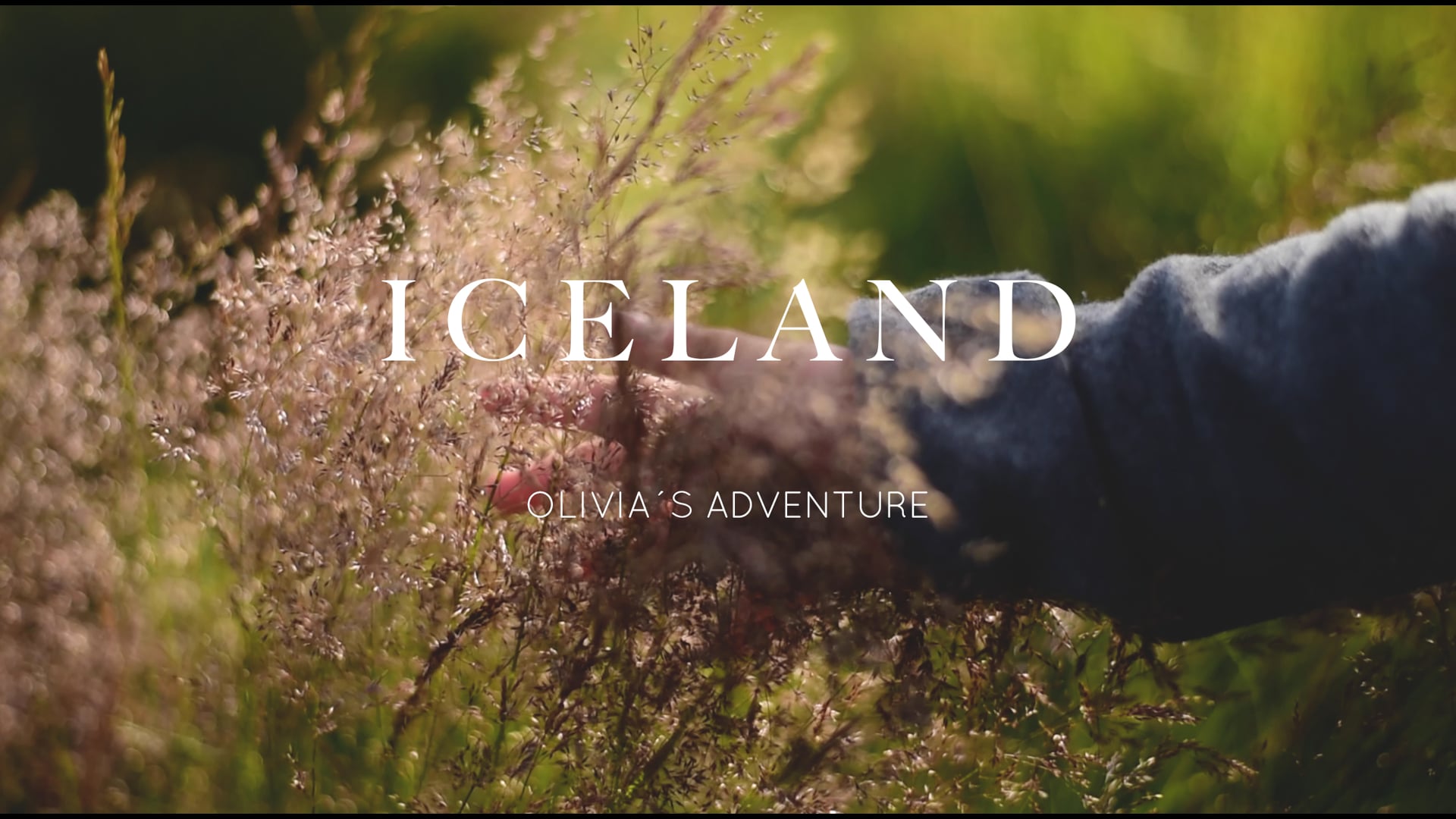 I C E L A N D • A family road trip