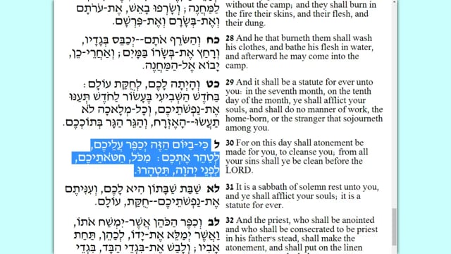 Here are all the courses that Gidon Ariel teaches: