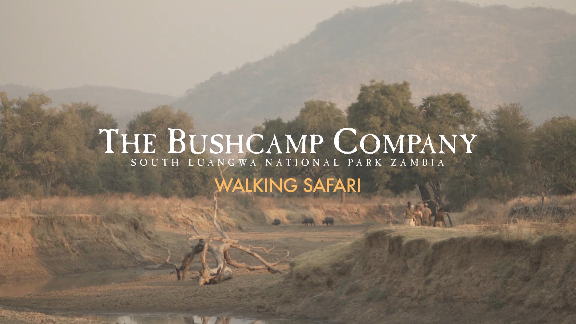 The Bushcamp Company: Walking Safari