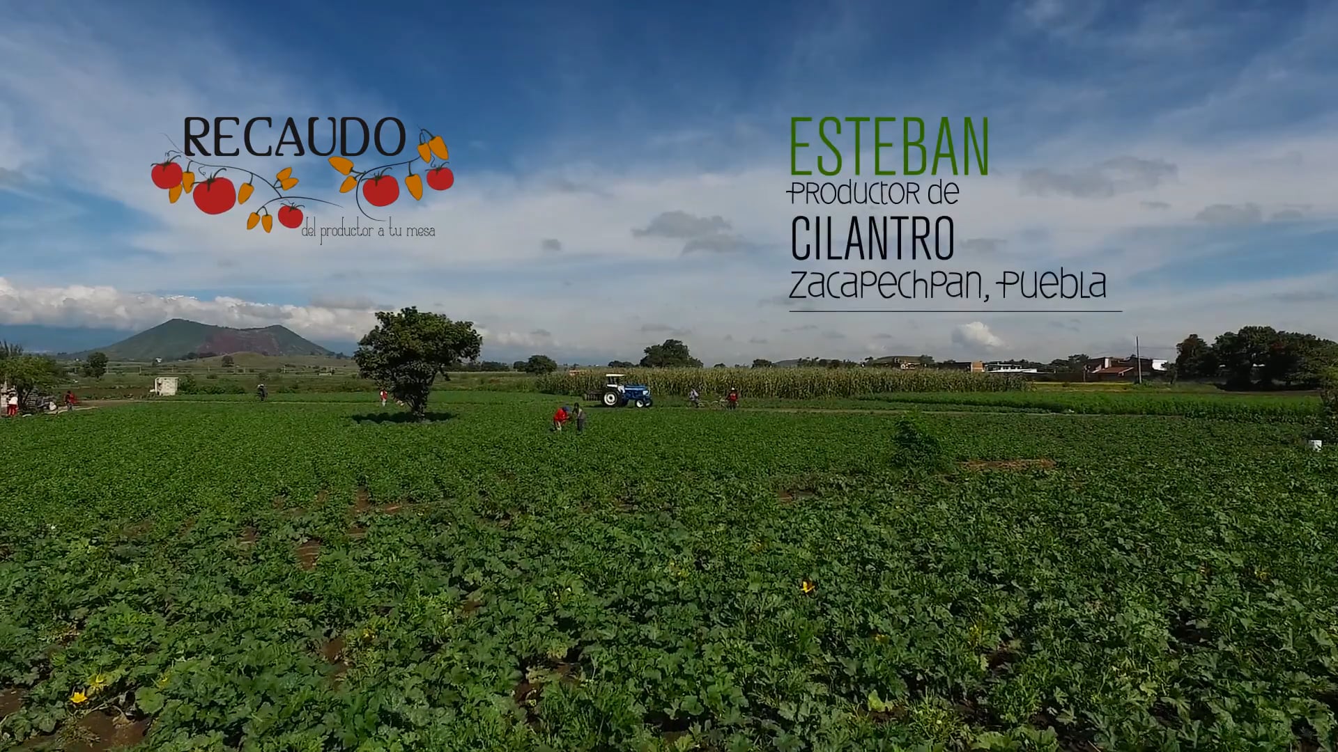 Colaboración tomas aéreas - Recaudo y Dosis Media