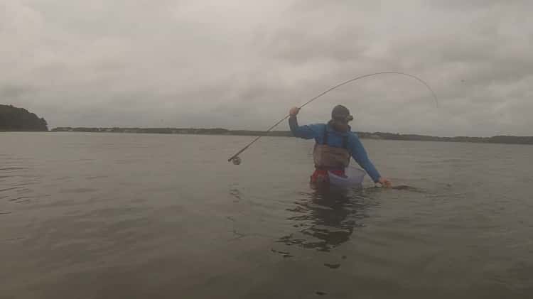 Fly Fishing the Fall Run on Cape Cod on Vimeo