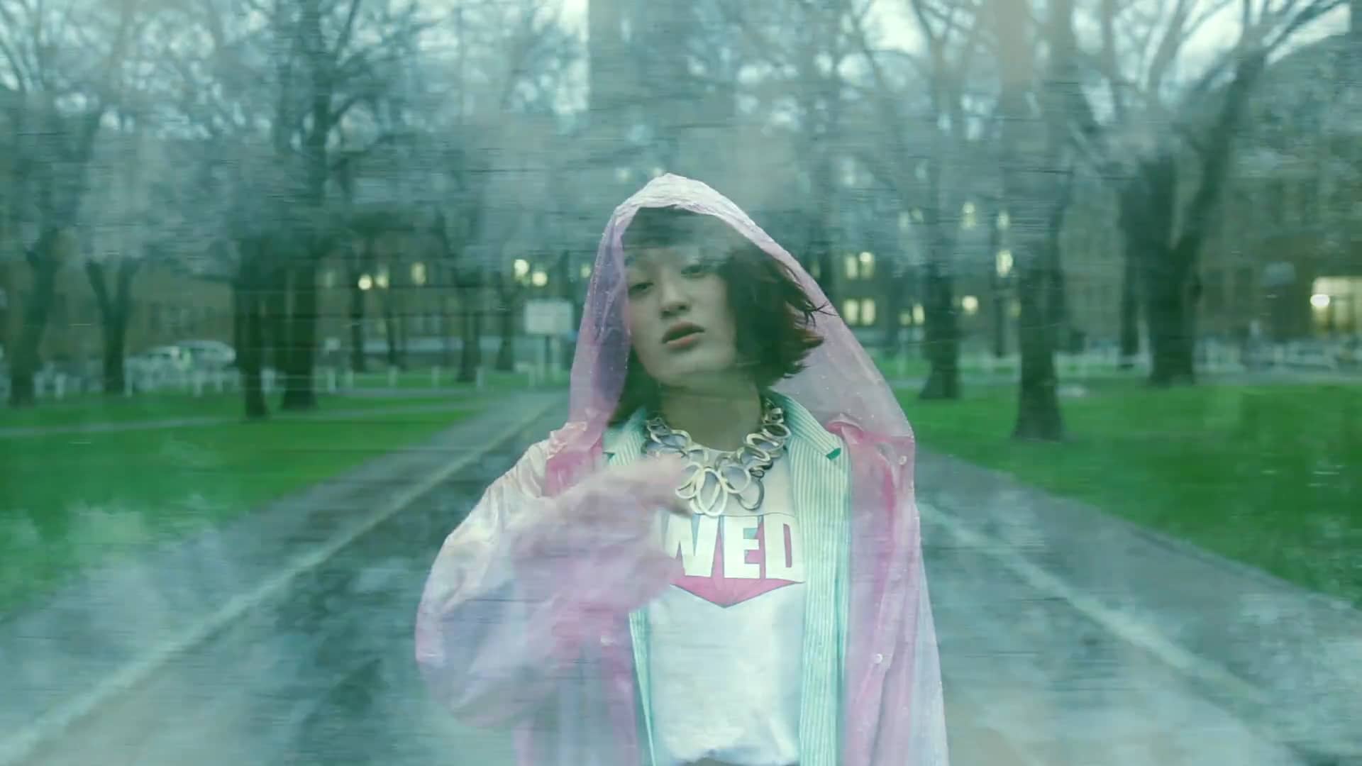 WEDNESDAY CAMPANELLA "SHAKUSHAIN" on Vimeo