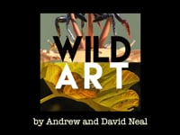 Wild Art