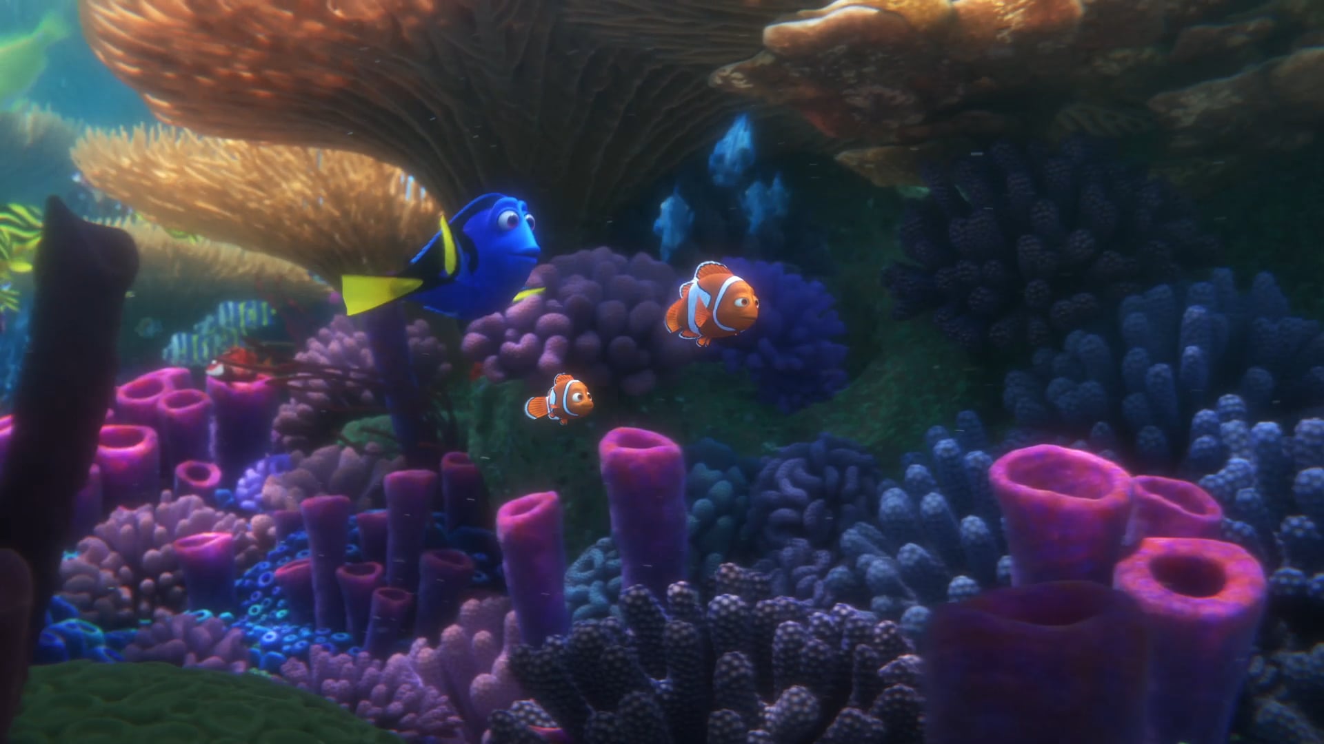 Finding Dory - TV30 "Where's Dory"