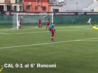 WEBGOAL DILETTANTI, I NUMERI DEL CALCIO VICENTINO