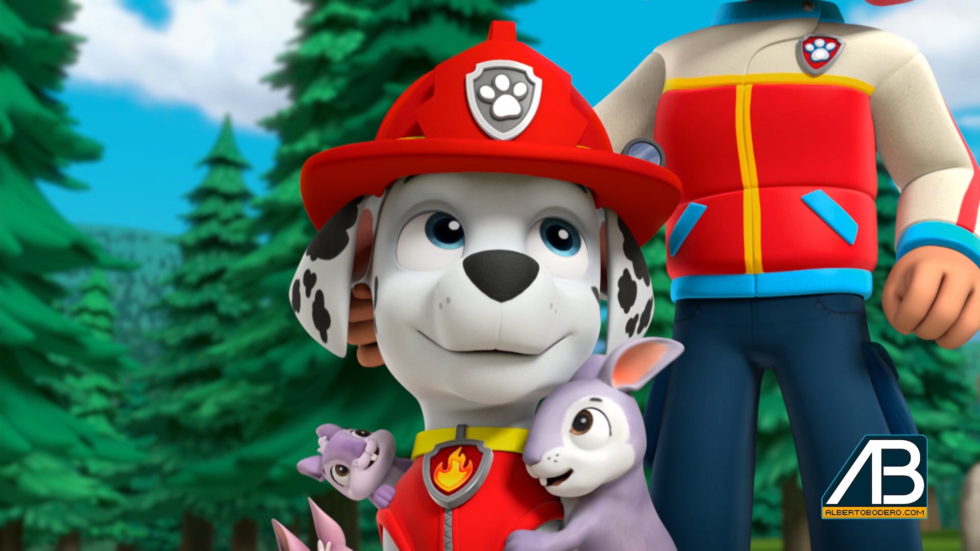 Paw Patrol Stay Safe Nick JR