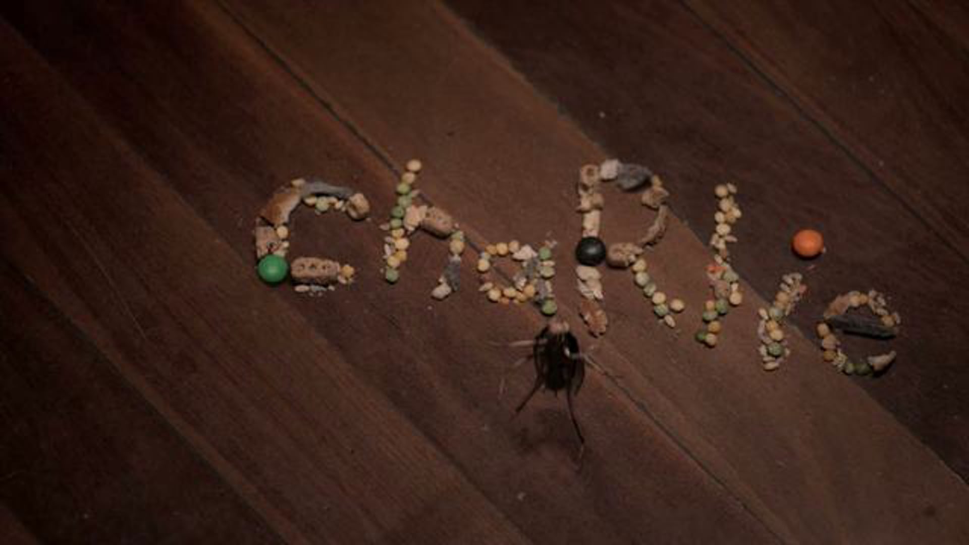 Cockroach