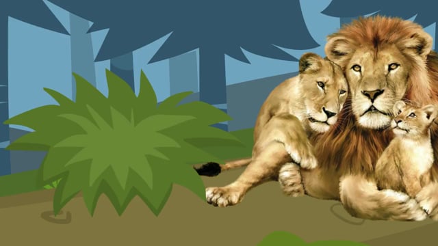 Fun Quiz - Walk in the Jungle- Fun quiz for kids & Trivia for kids - lilquizwhiz