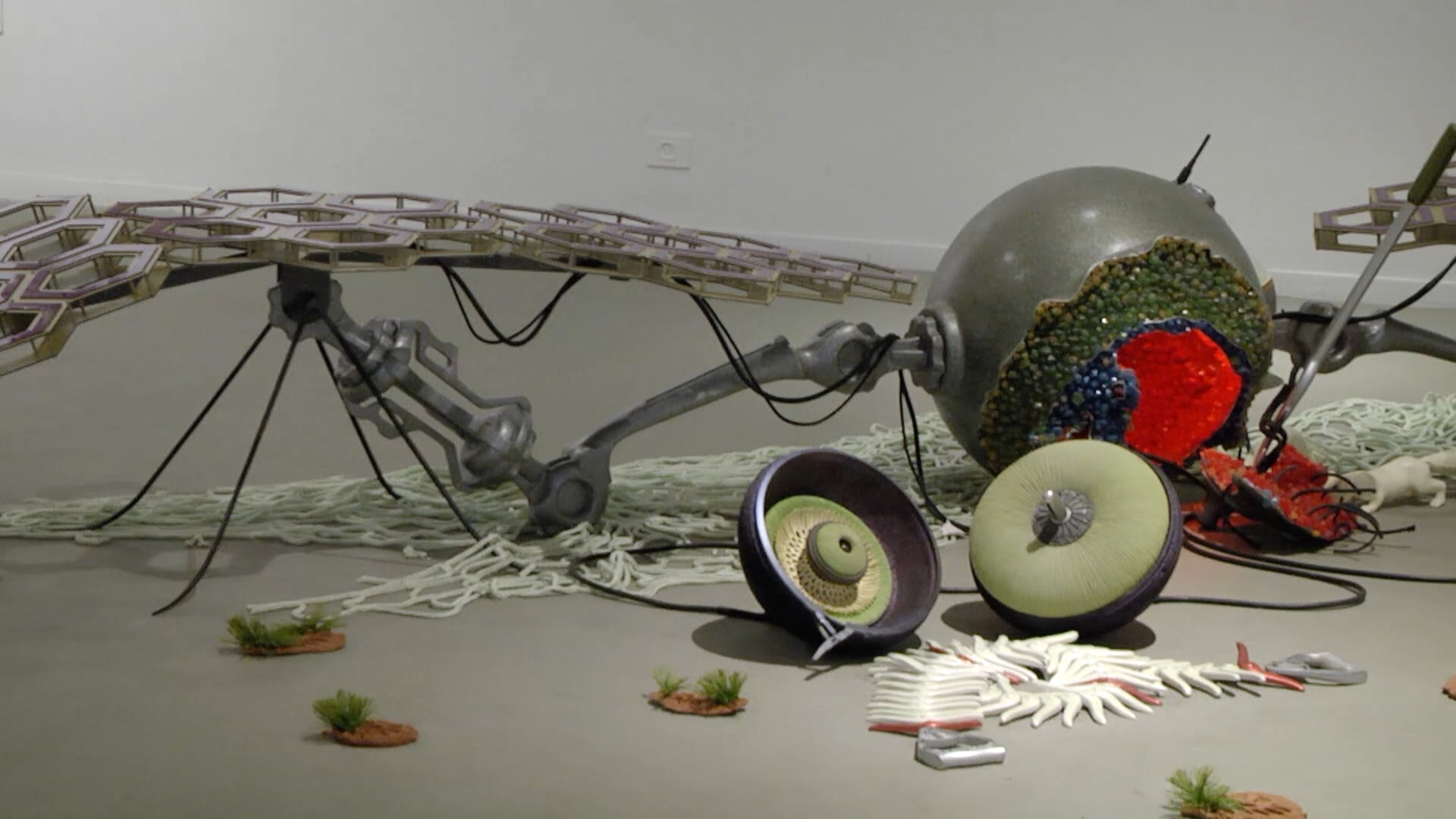 Growth Engines: Encounter with the artist Eli Gur Arie and associate curator, Noa Rosenberg, 2016