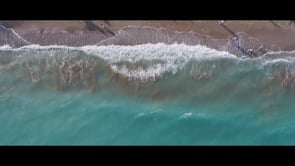 Delia & Bogdan - Teaser