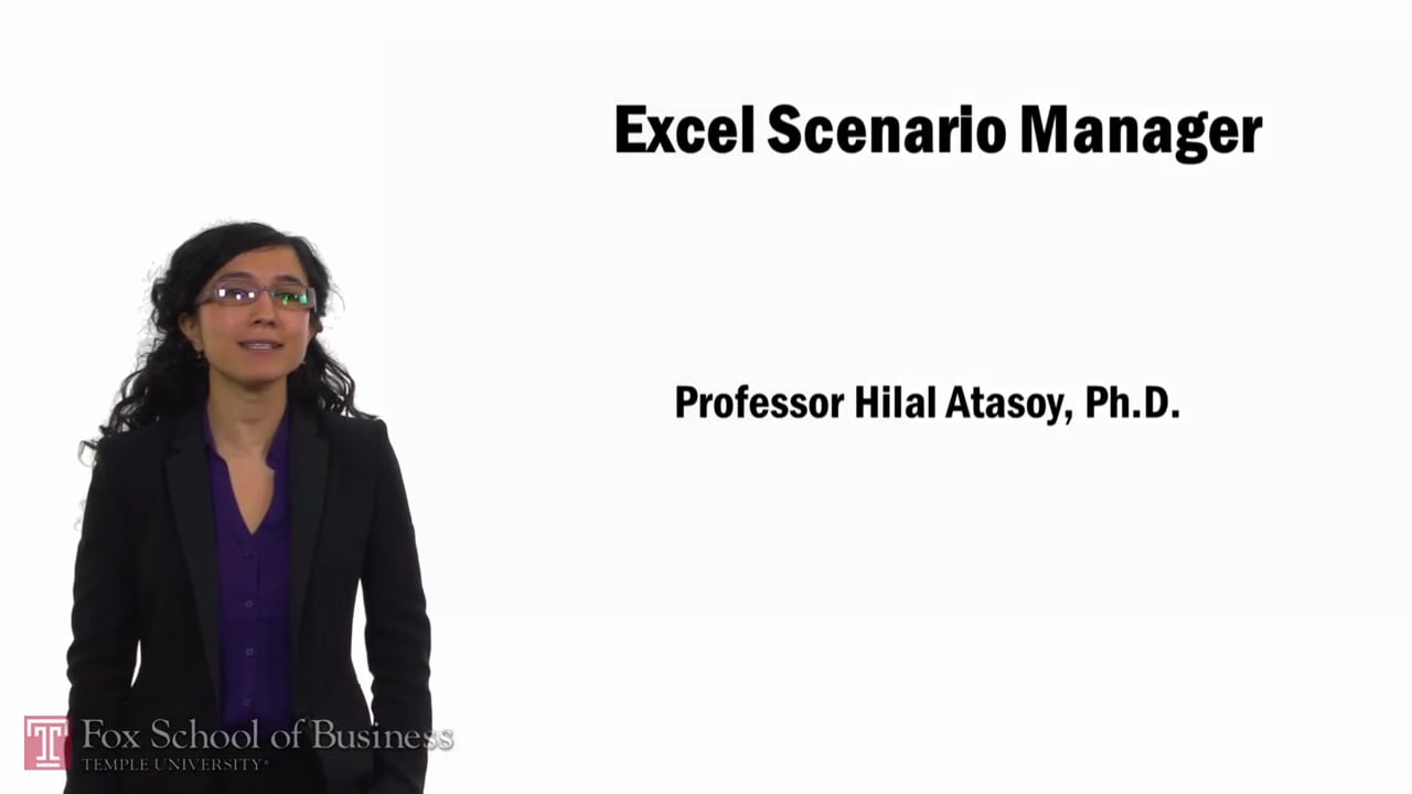 Login to view Excel Scenario Manager