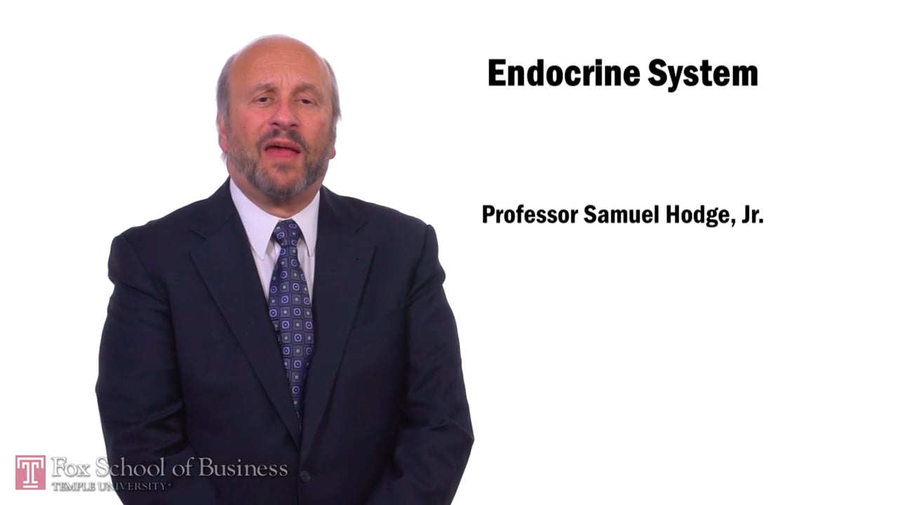 Endocrine System