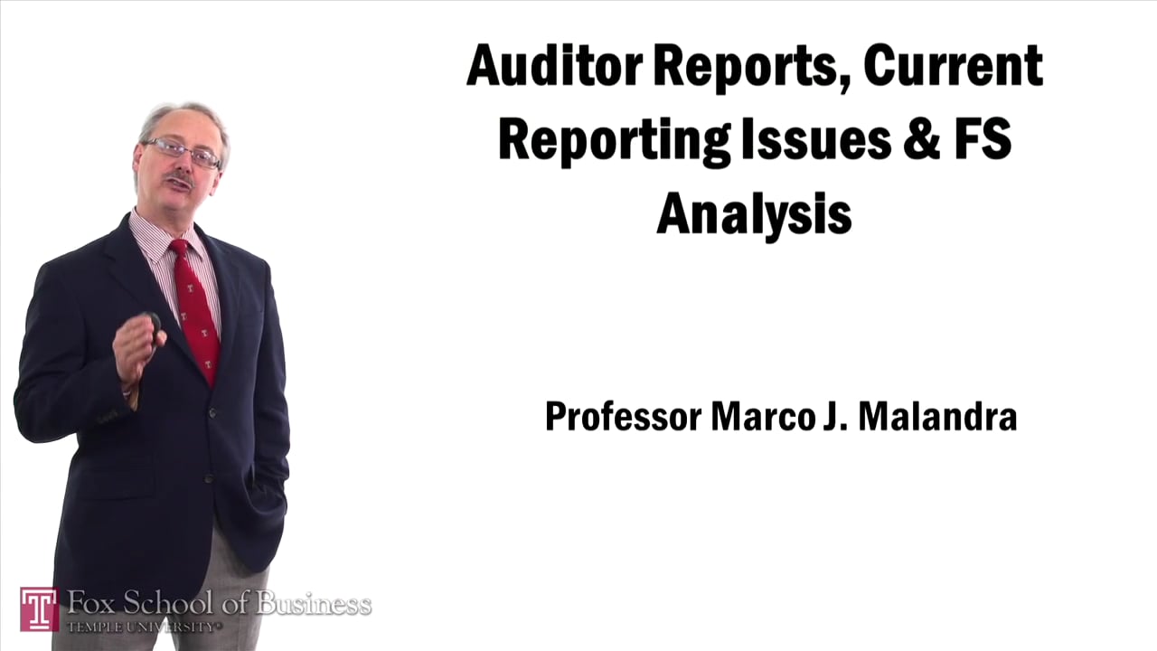 Auditor Reports Current Reporting Issues and FS Analysis