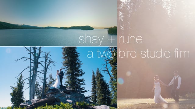 Shay + Rune : Wedding