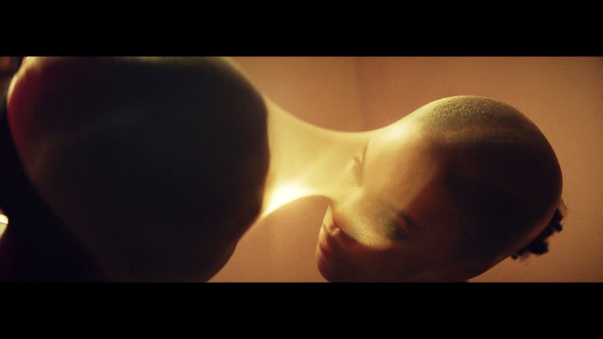 Skies Turn Gold - The Ramona Flowers