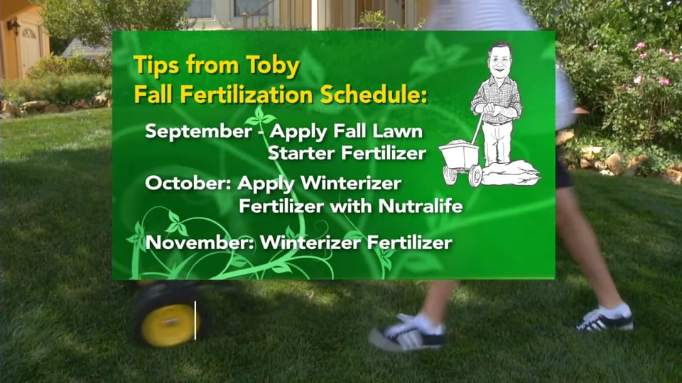Tips From Toby – Fall Lawn Final Stretch