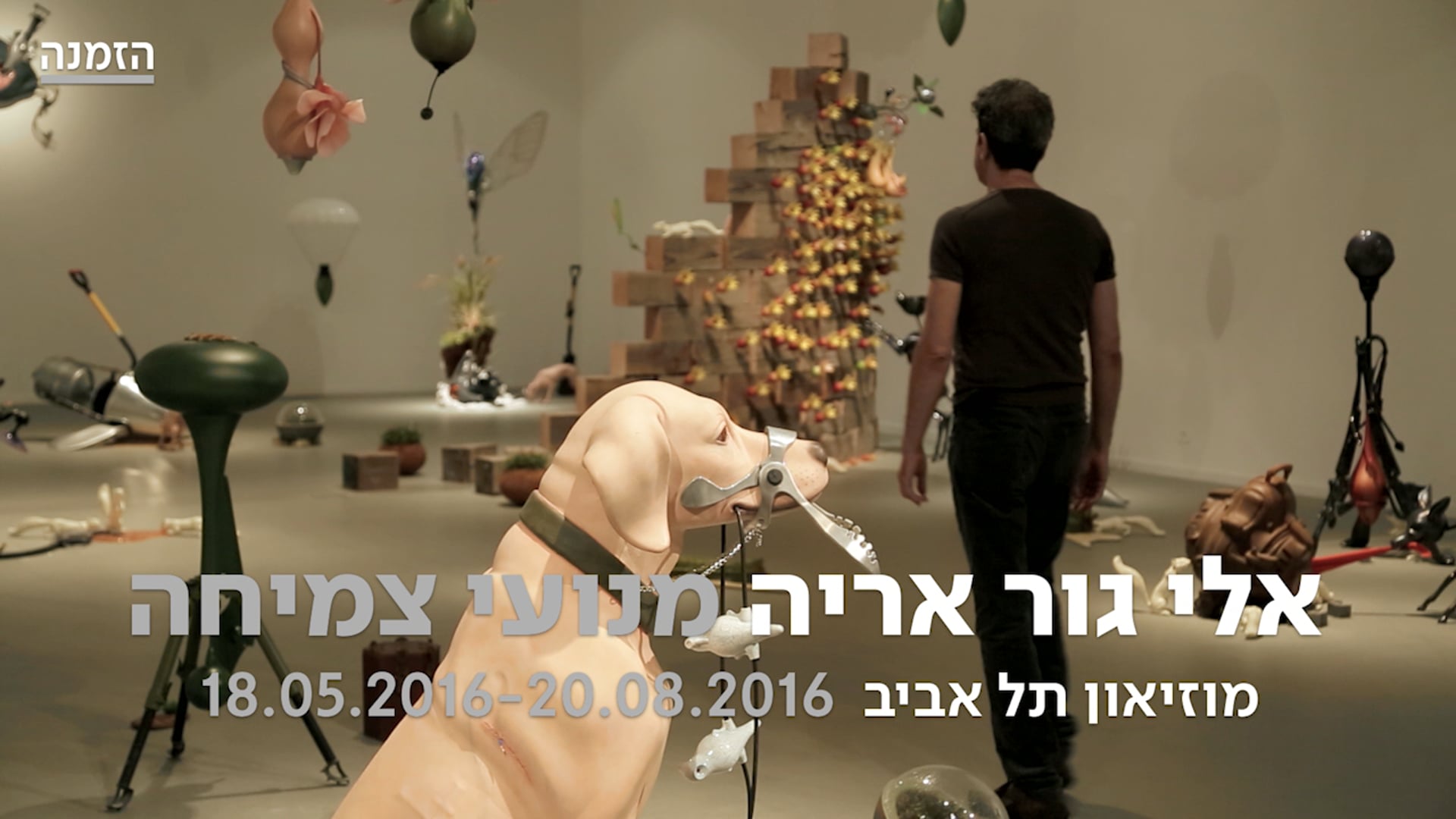 Hazzmana project | Eli Gur Arie