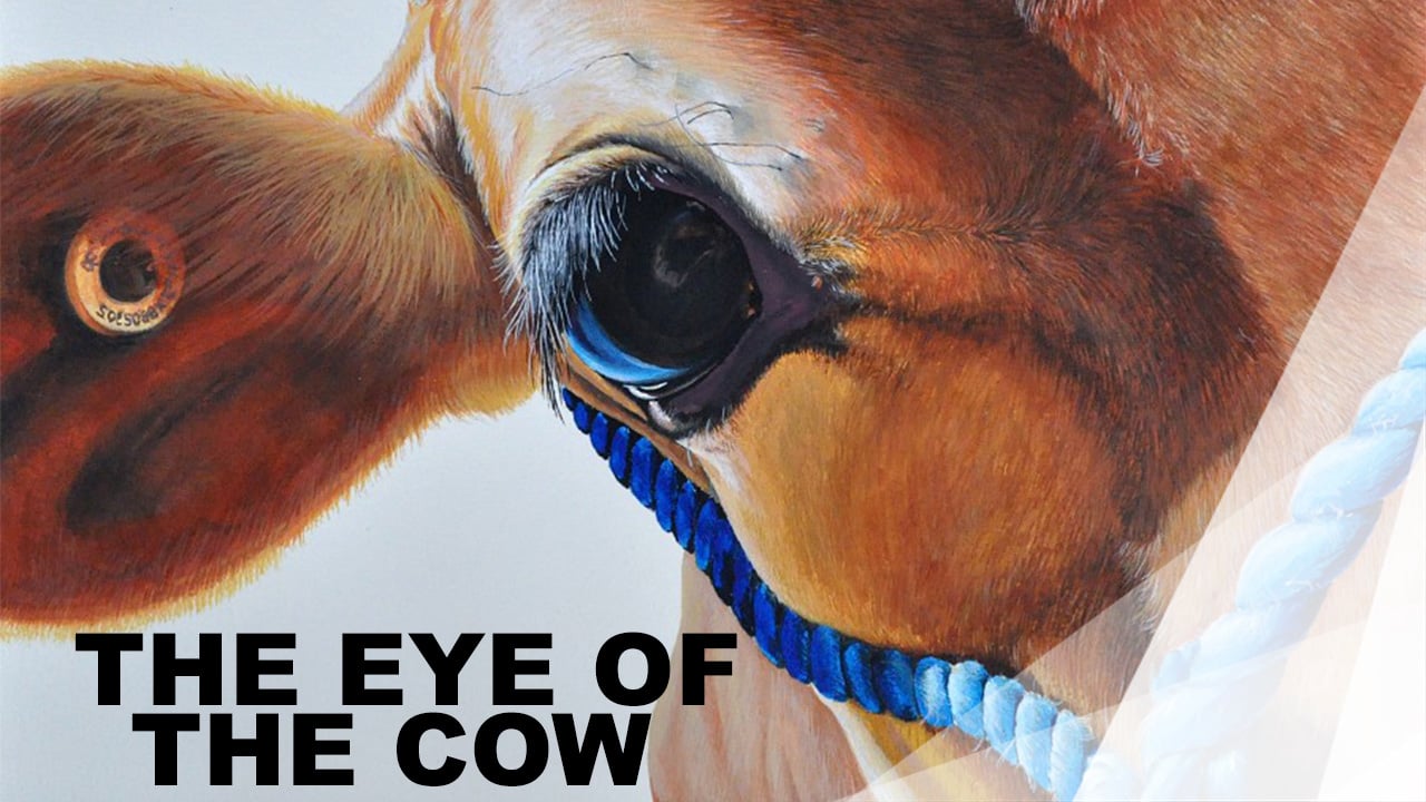 WOW - 16- Eye of Cow