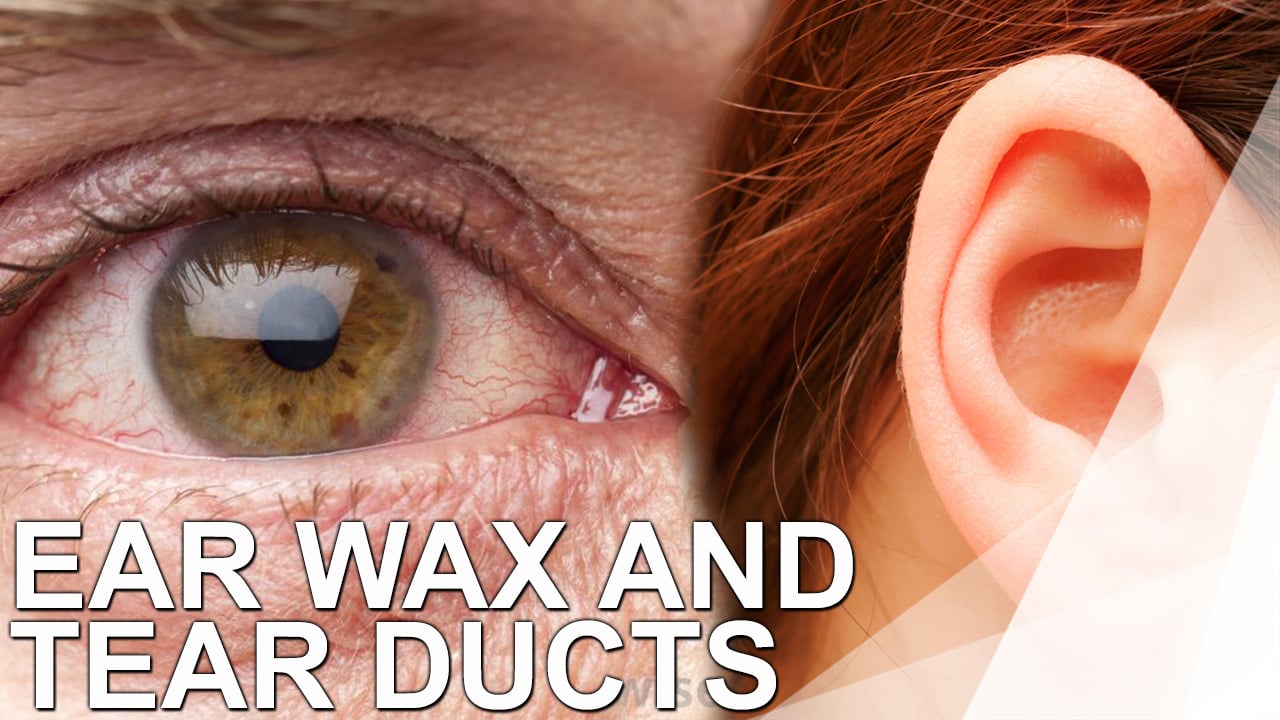 WOW - 22 - Ear Wax and Emunah