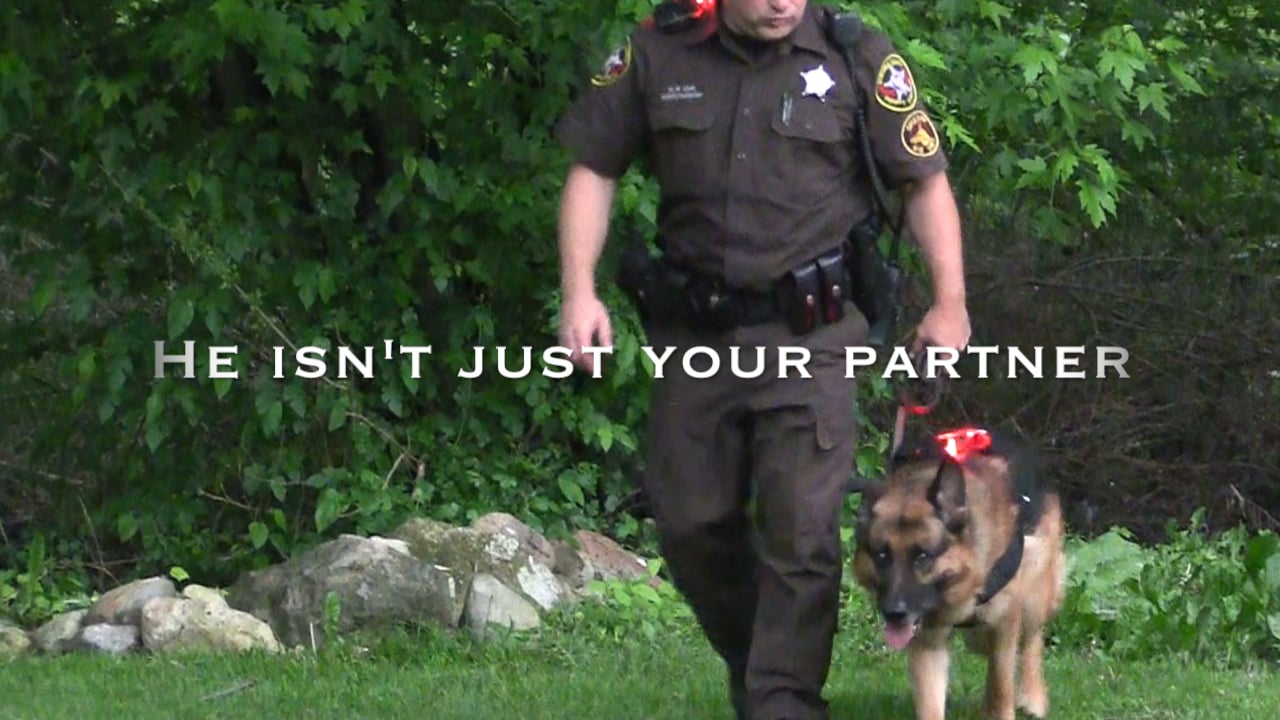 Police K9 Harness and Guardian Angel light on Vimeo
