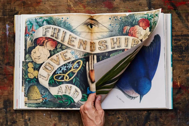 John Derian Picture Book - The Whisper Gallery