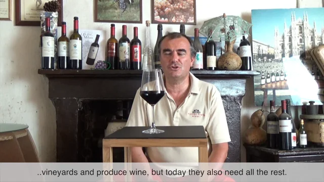 The wine label, yesterday, today and tomorrow. An interview with Manlio  Tonutti.