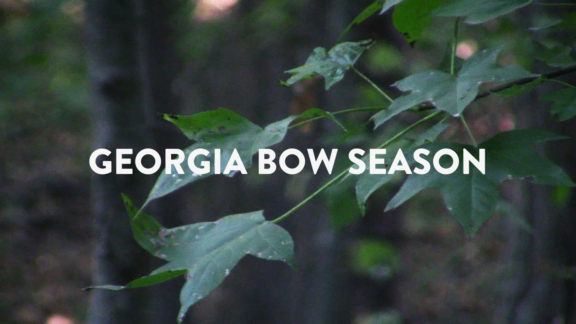 Bow Season on Vimeo