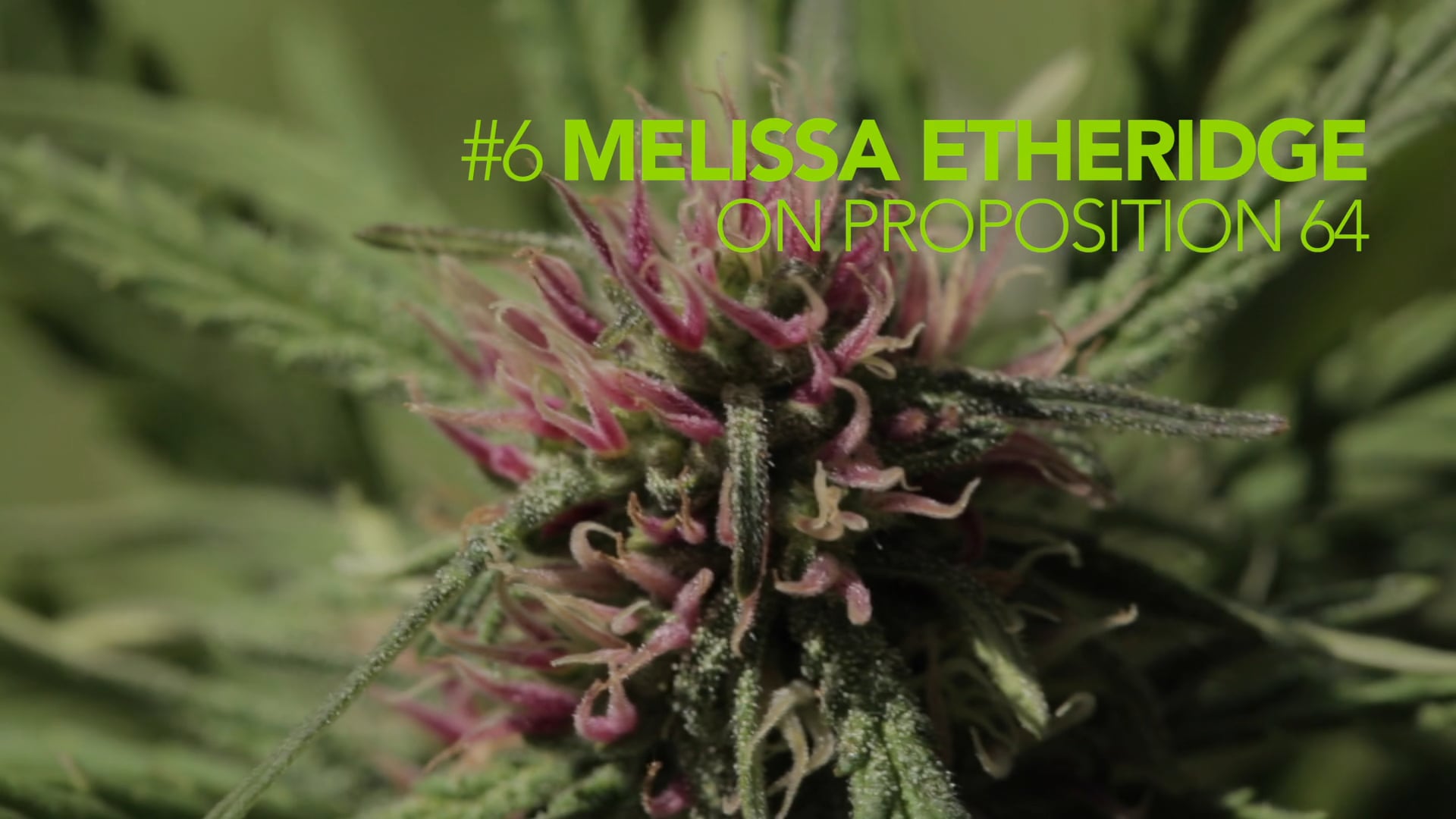CCP #6 Melissa Etheridge on Proposition 64
