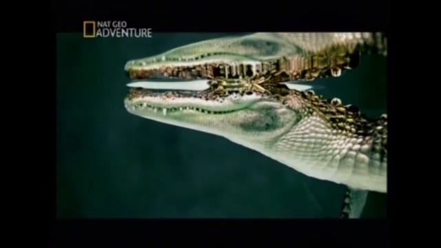 National Geographic high speed promos