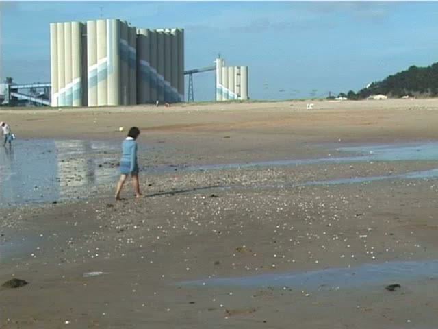 O PRIMEIRO OLHAR 23 - O MAR E AS CONCHAS