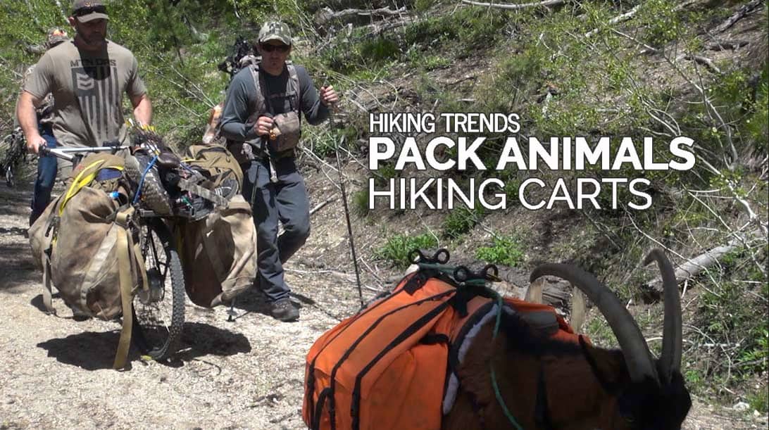 Pack Animals and Hiking Carts Honey Badger Wheel and Pack Goats on Vimeo