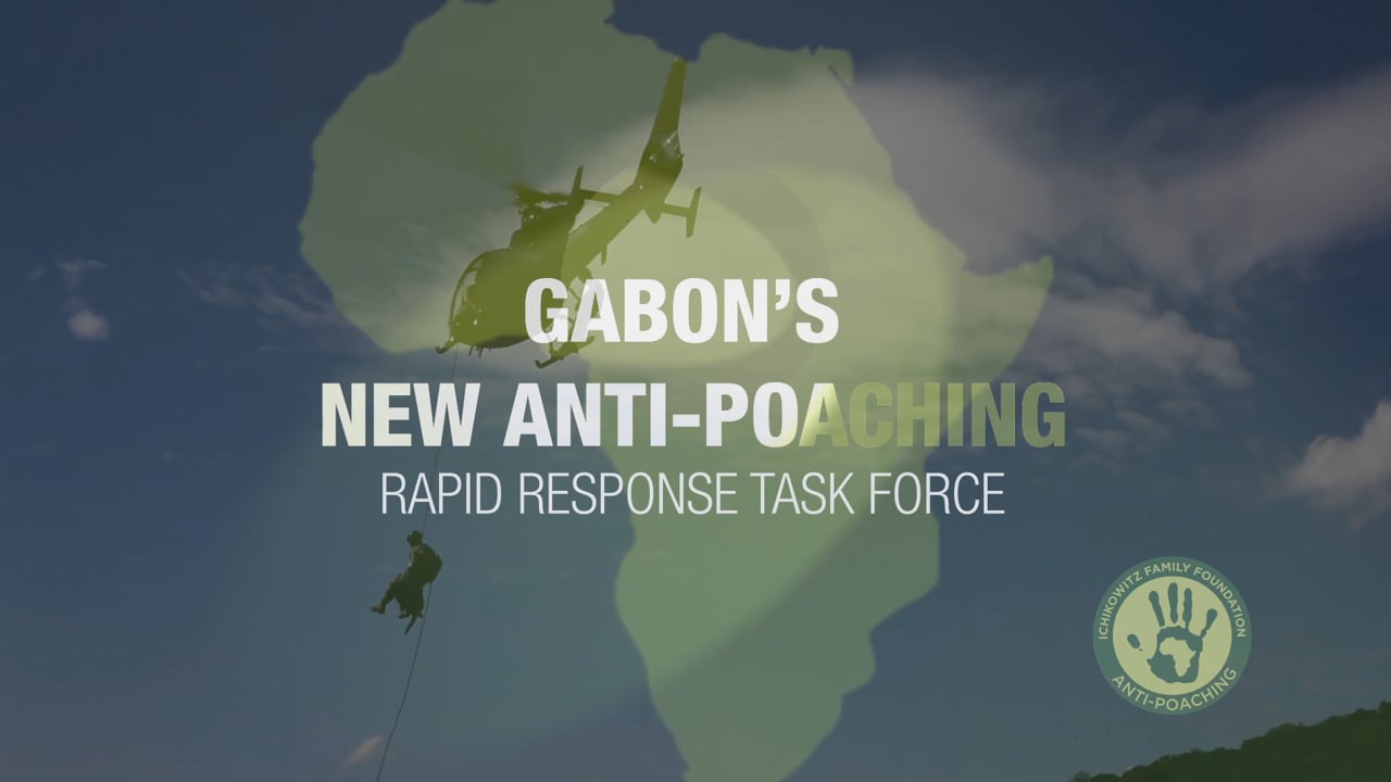 Gabon's New Anti-Poaching Task Force
