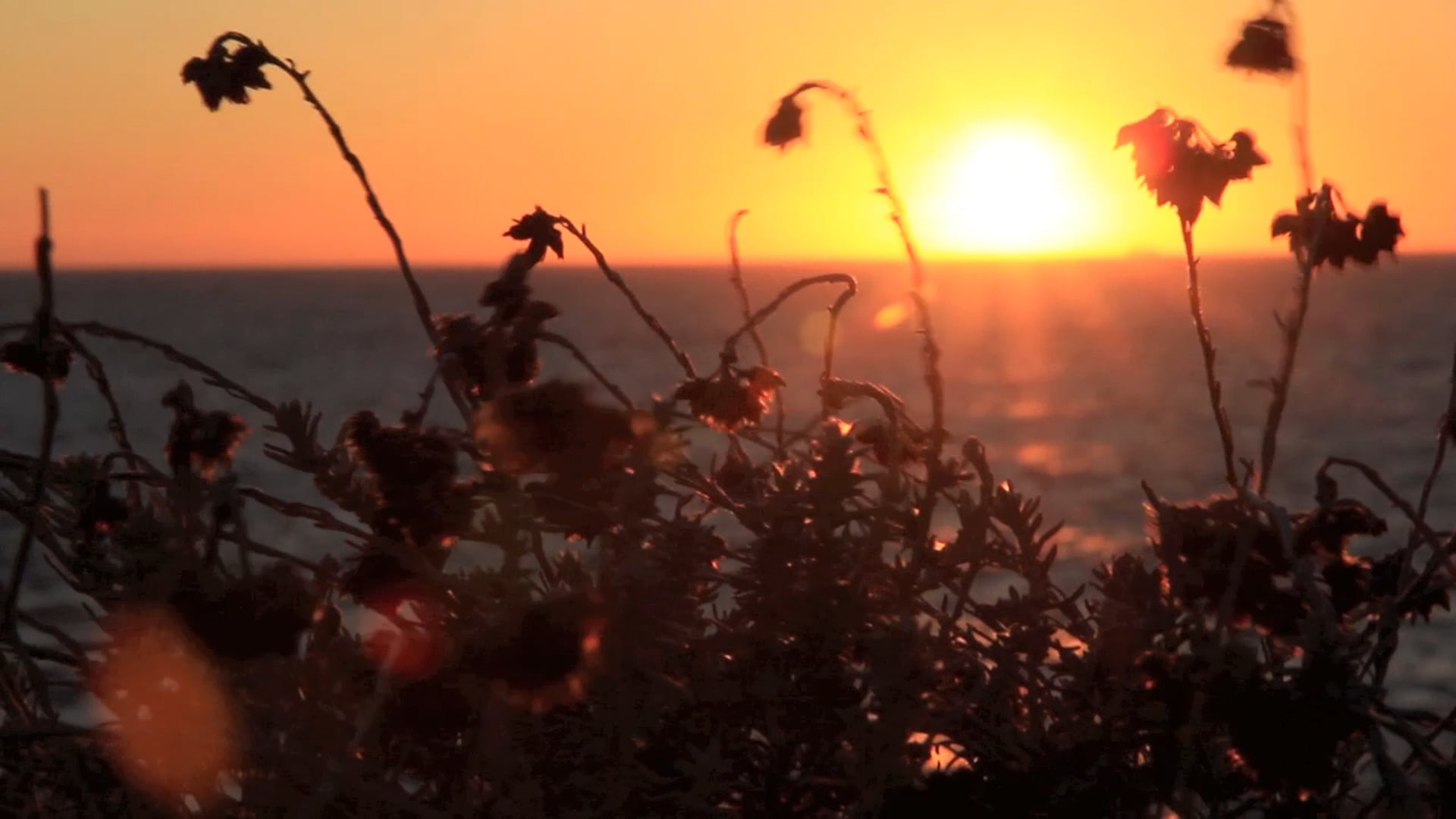 Sunset Corsica