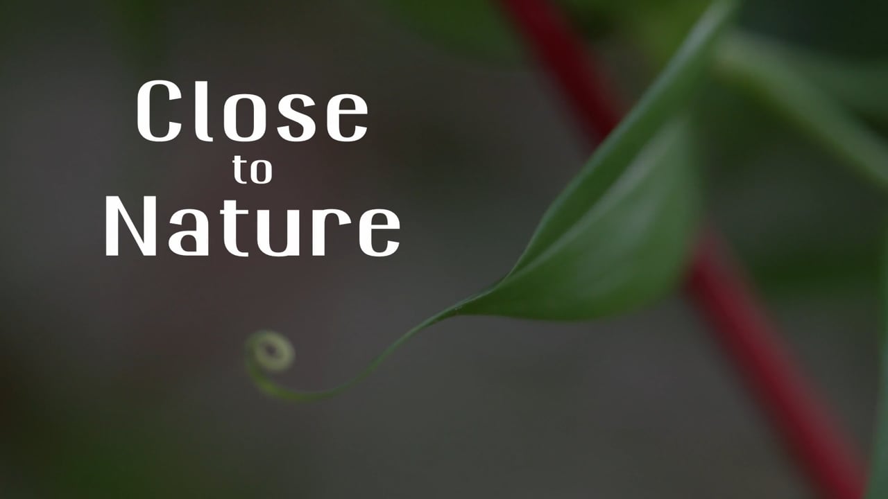 Close to Nature