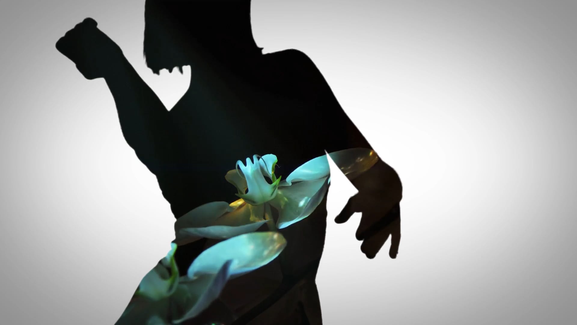 Shestowitz - Launches 2016