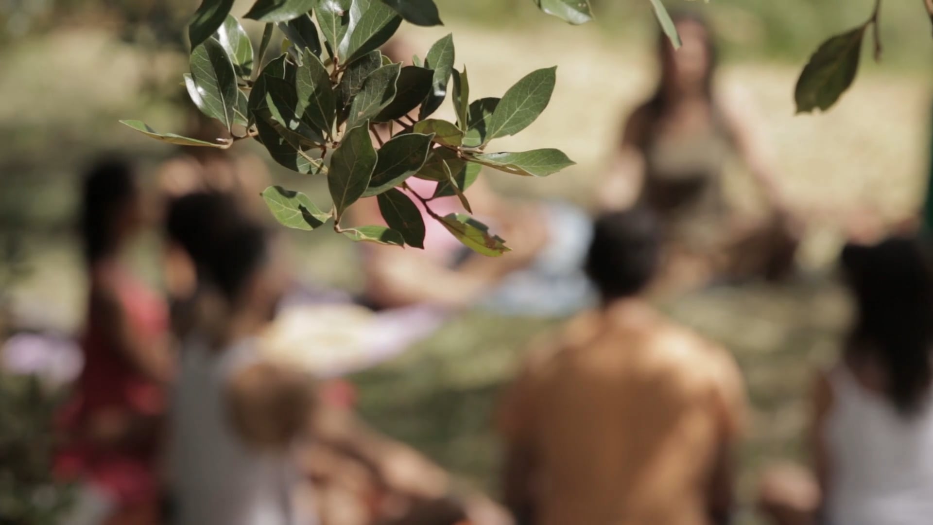 Dança in Natura 2016