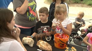 Fall Fossil Festival