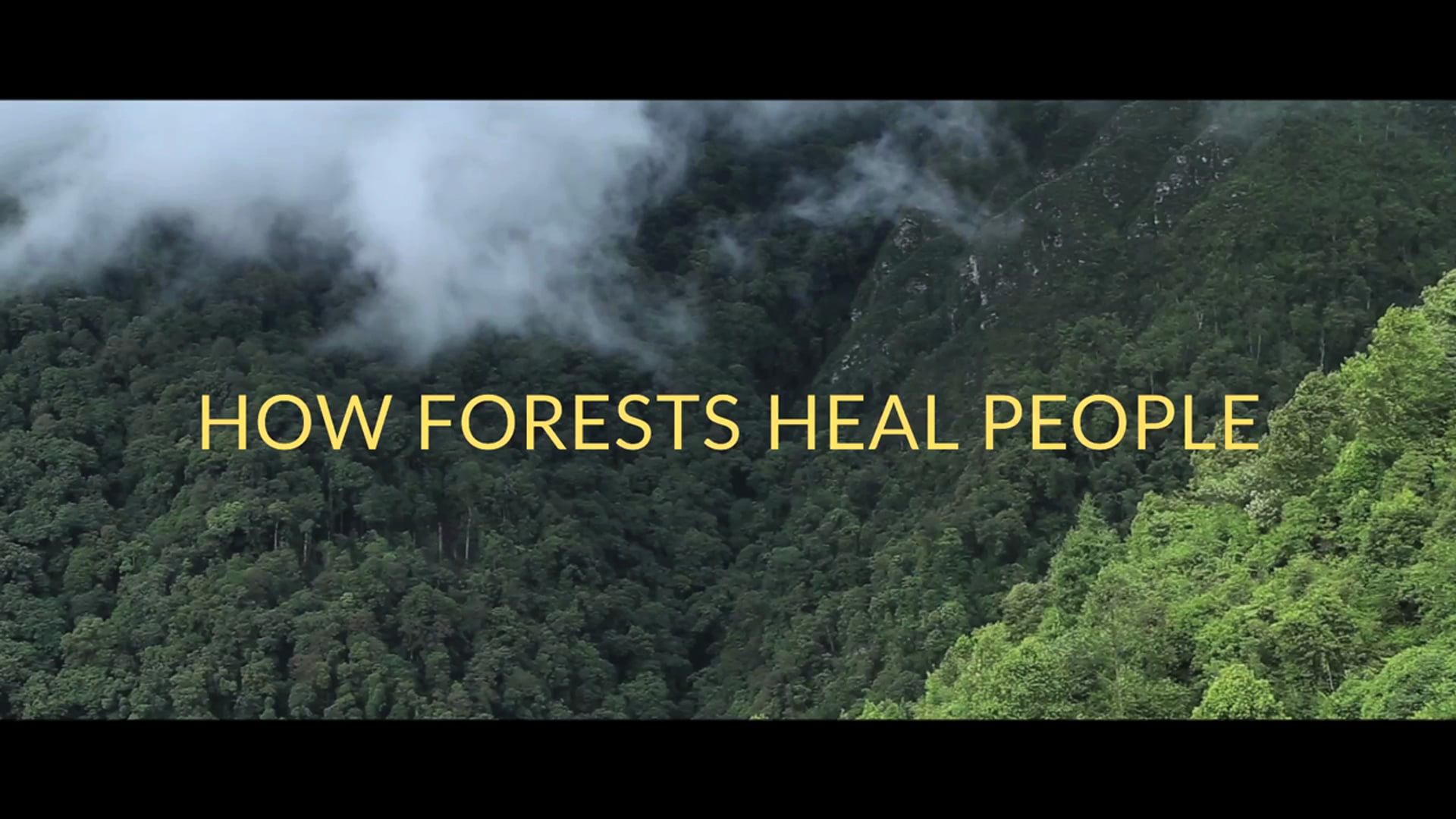 How Forests Heal People