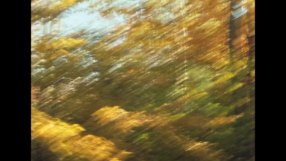 Seasons Fall