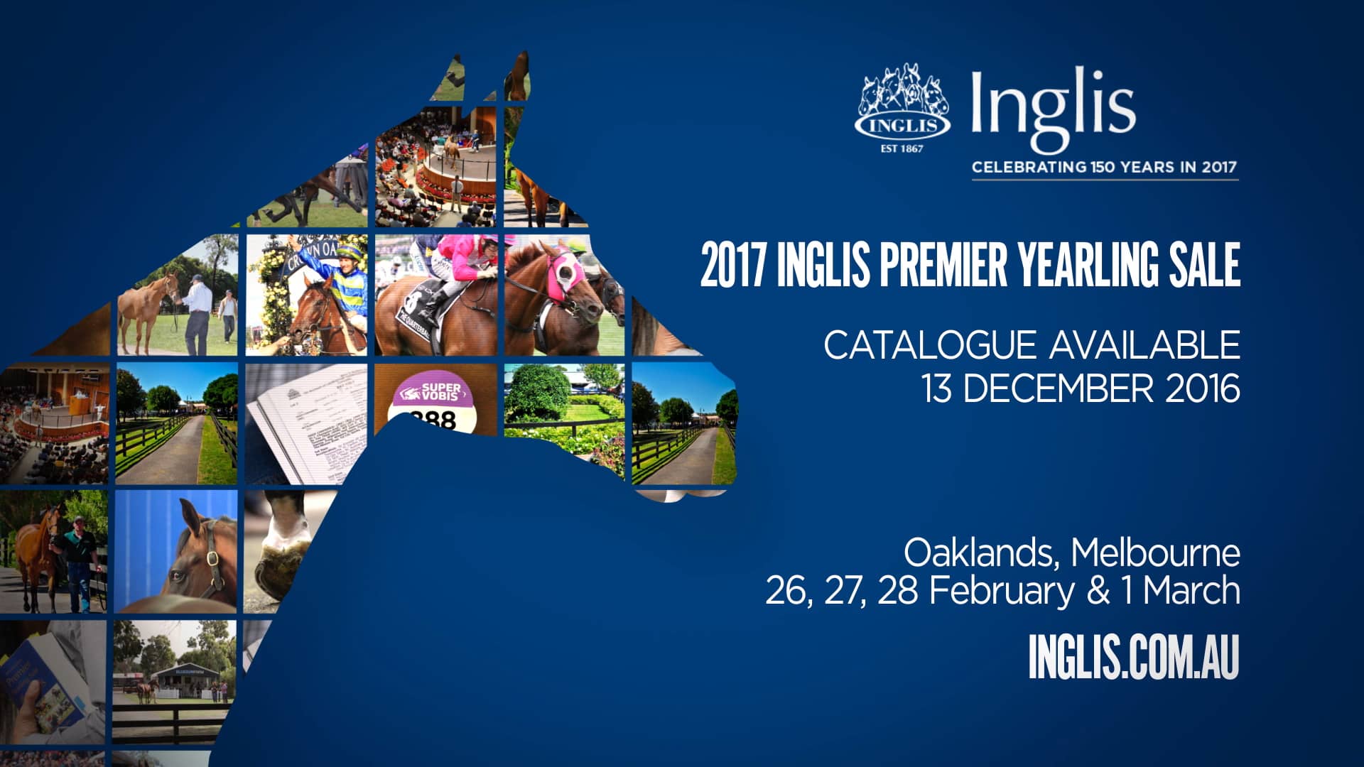Inglis Melbourne Premier Sale 2017 TVC (Final Version) on Vimeo