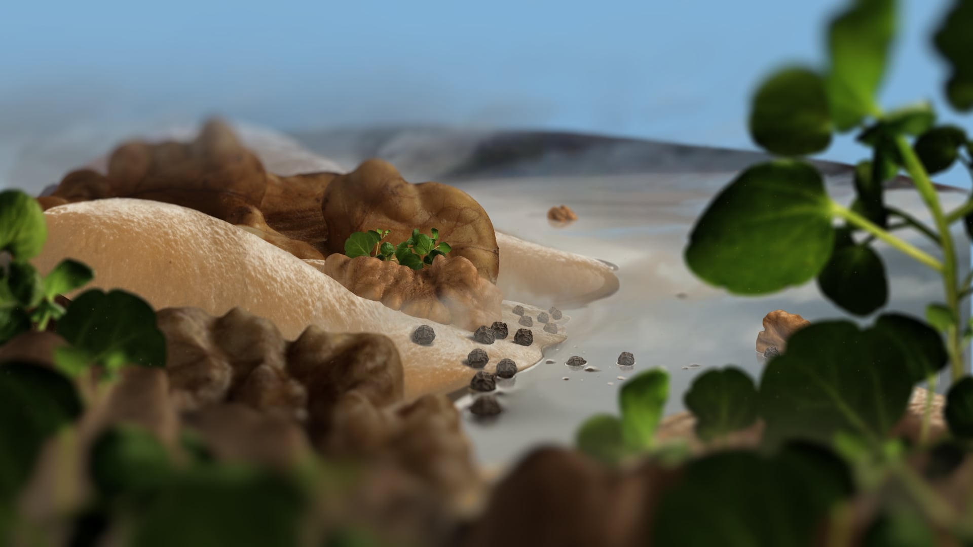 LIDL Mussels Beach on Vimeo