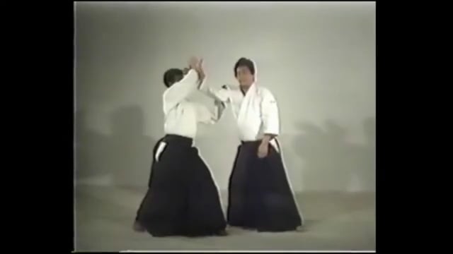 Katadori menuchi - Principles