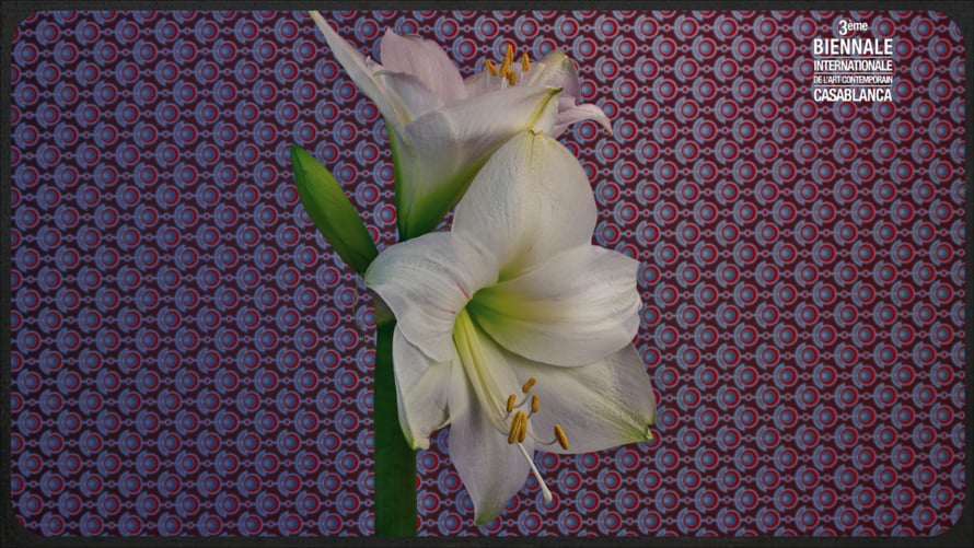 Flowers | Videos & Movies on Vimeo