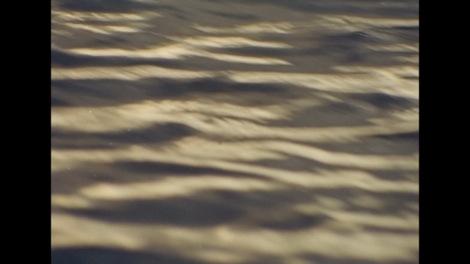 Reflections II