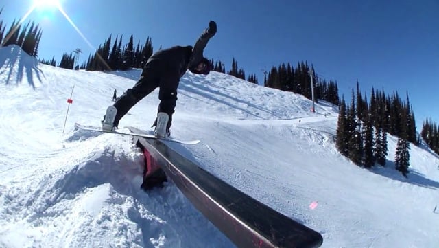 Whistler Park 2010