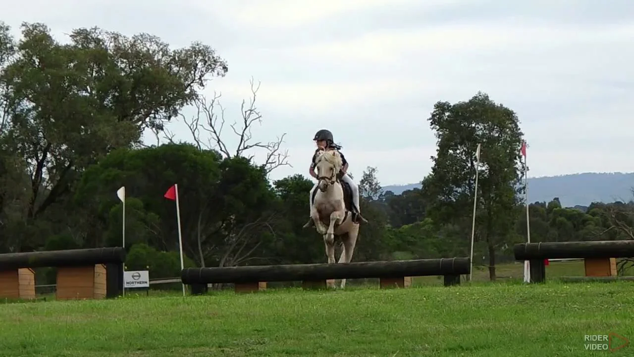 Alice Berry riding Peter Pan 135 Grade 5 Yarrambat Horse Trials 2016  