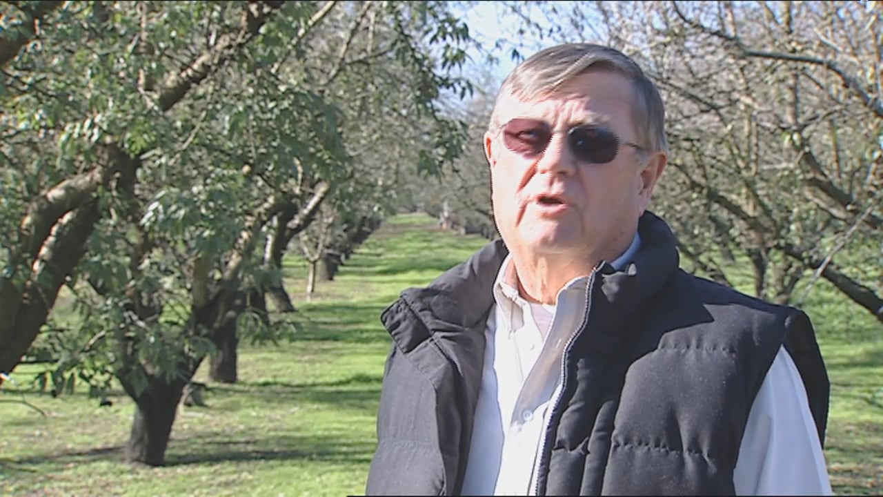 Hughson Nut Testimonial on Vimeo