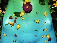 Igor Pose – Flora (1998)