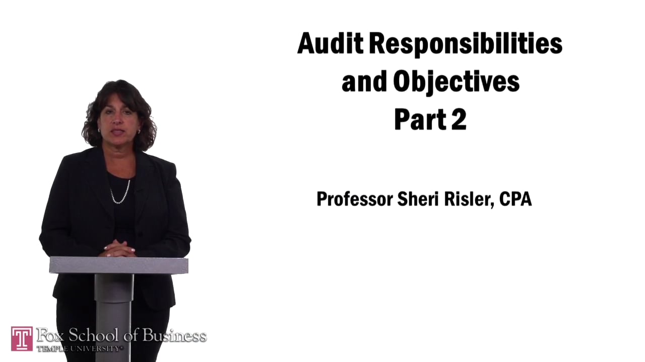 Audit Responsibilities   Objectives Part 2